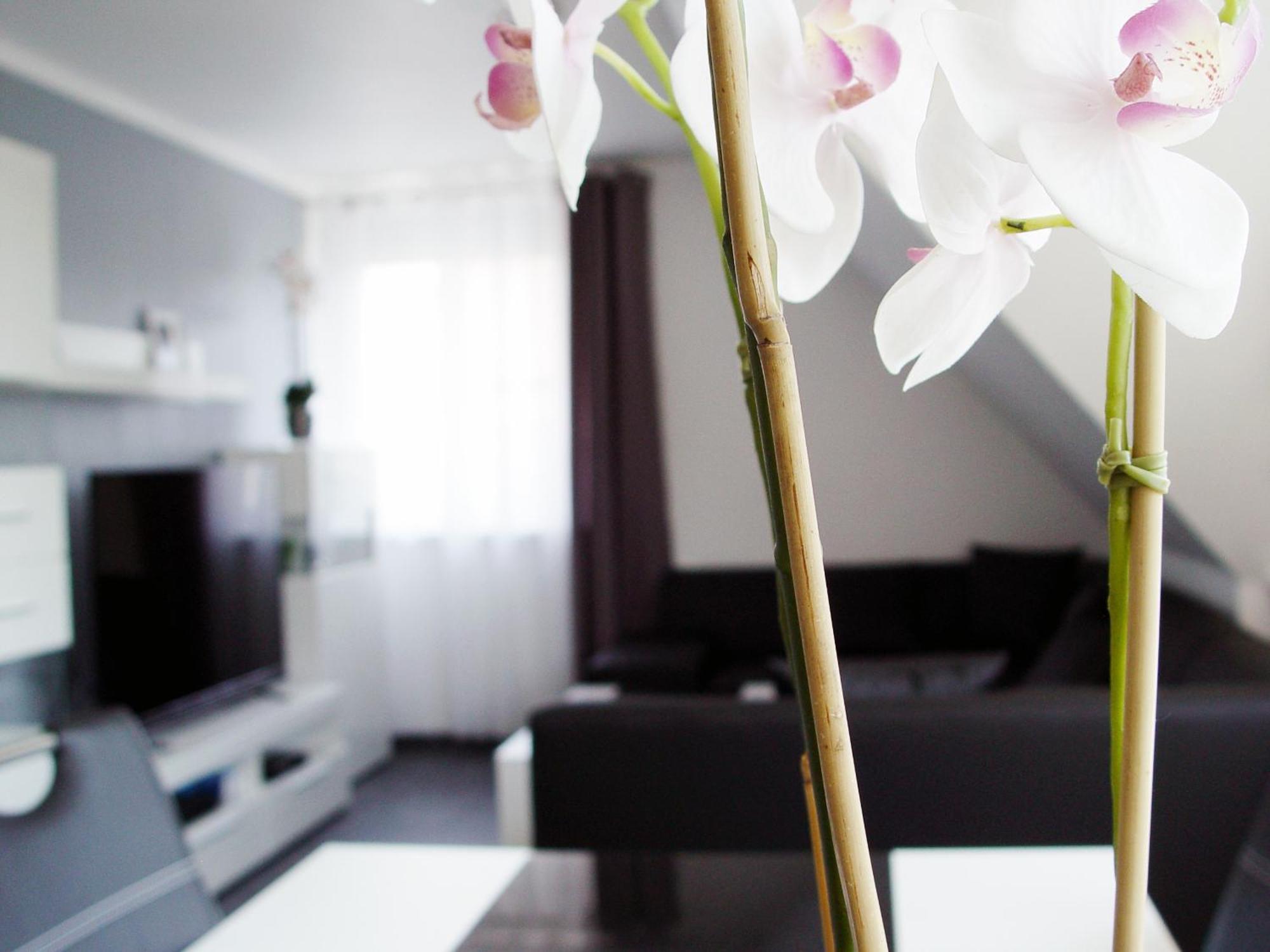 Apartamento La Domus Premium Lotte Exterior foto